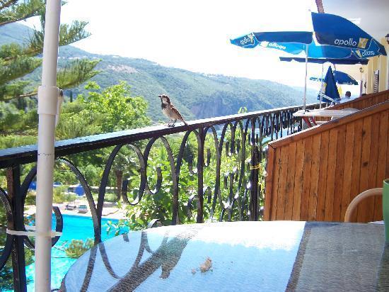 פארגה Bella Vista Hotel And Apartments מראה חיצוני תמונה